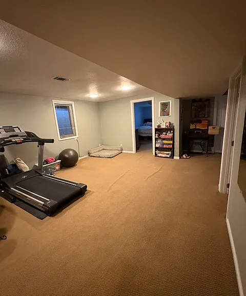 basement family room/rec room