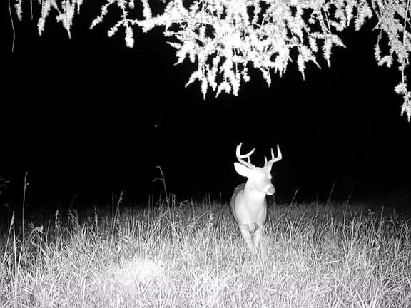 2nd image of TBD Nylund Rd