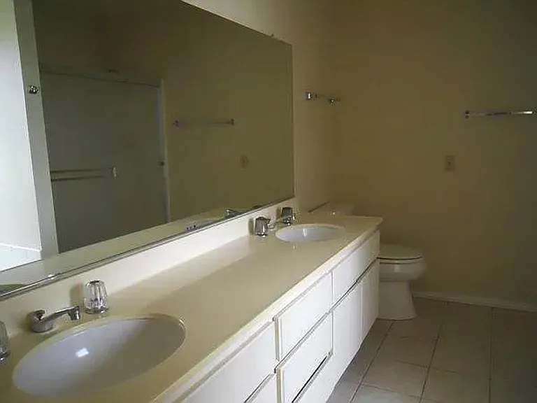 Master bathroom - cleared