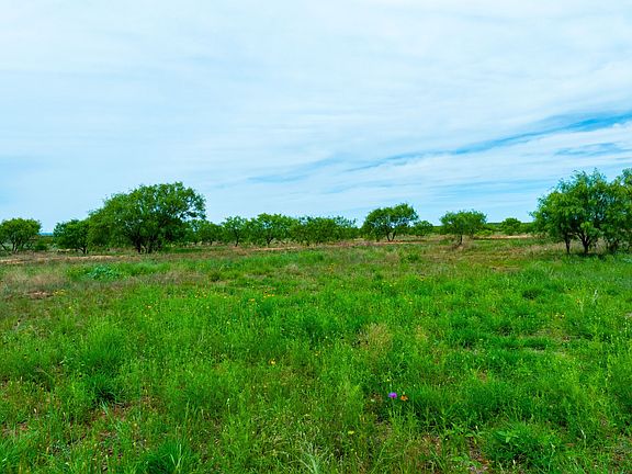 2nd image of 13450 County Road 440