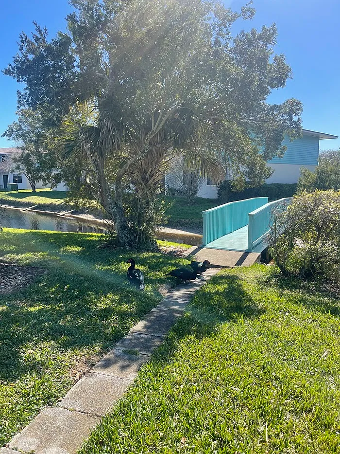 2 bed, 2.0 bath, 816 sqft, $1,600 — Photo 2