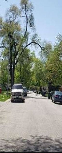 Exterior Neighborhood (street photo)