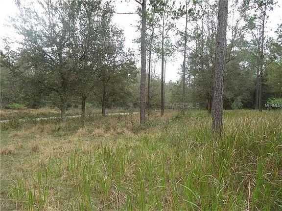 5th image of 496 Savannah Oaks Dr