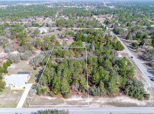 14147 Lawrence St, Spring Hill, FL 34609