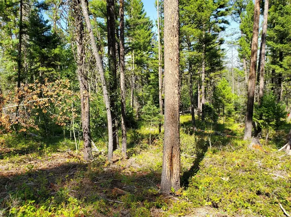 Bear Gulch Rd Lot 5, Lincoln, MT 59639