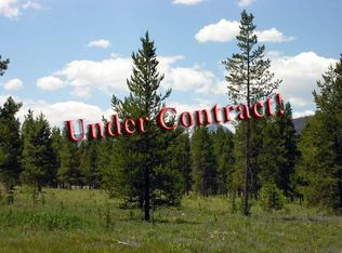 569 Moose Run Ln #5002, Fraser, CO 80442