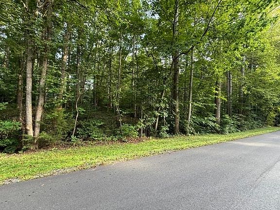 5th image of Ellis Dr
