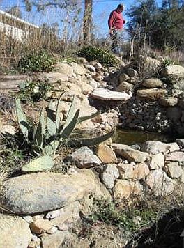 Backyard waterfall