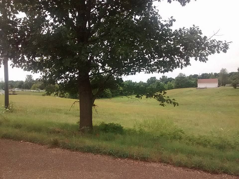2nd image of 1240 Jim McKenzie Rd