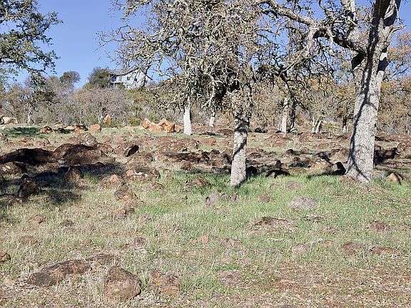 3rd image of 20190 Indian Rock Rd
