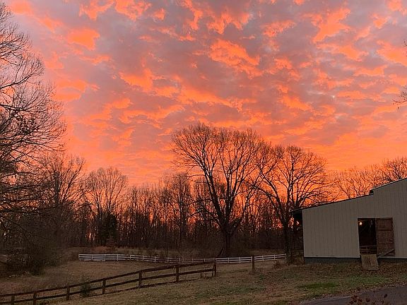 Beautiful Sunset-back 1/4