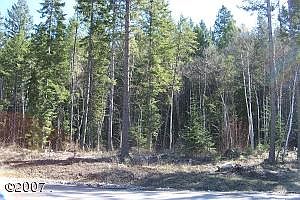 2nd image of 232 Oakmont Loop