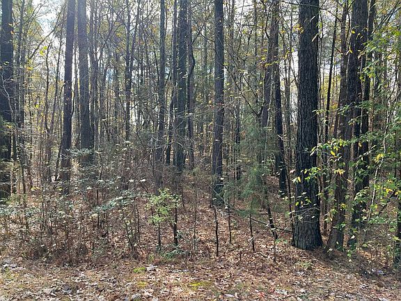 3rd image of Foxfire Dr Lot 36