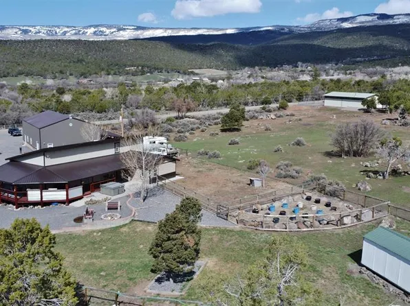 19240 Ward Creek Road, Cedaredge, CO 81413