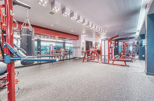 Rented by Platinum Properties | media 37