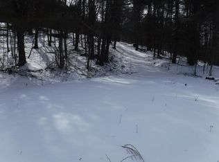 Regan Way, Oneonta, NY 13820