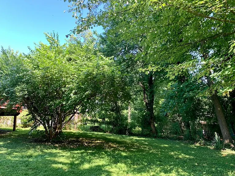 4808 Randolph Rd — Photo 44
