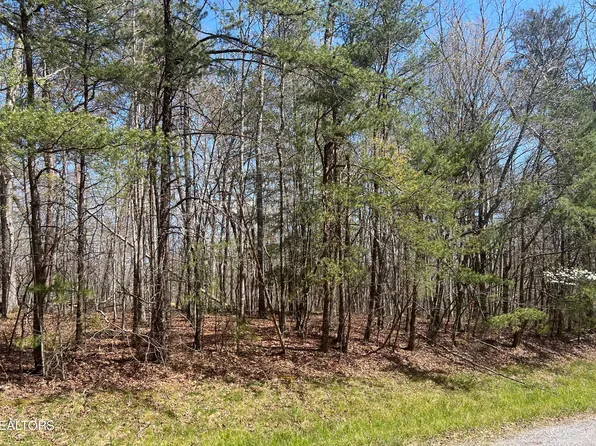 Creek Dr, Monterey, TN 38574