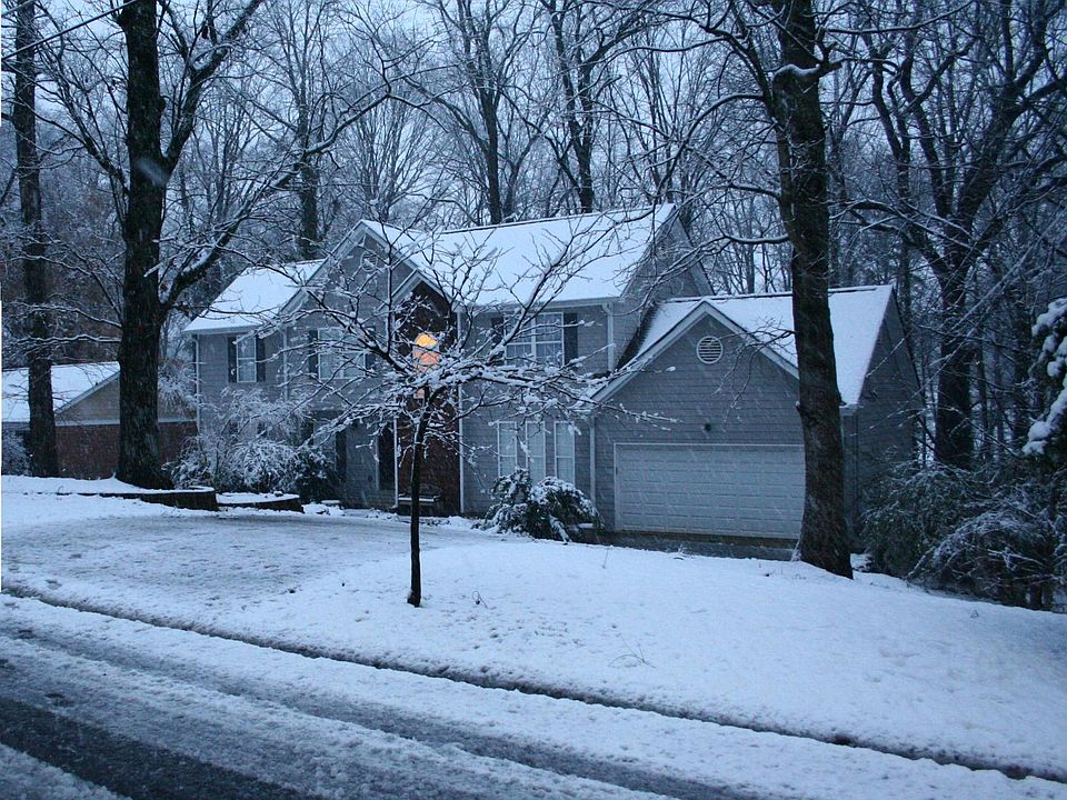 winter 2009 snellville