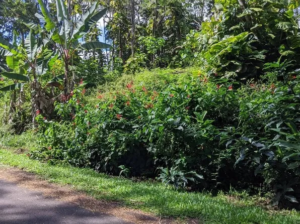 15-2764 Lalakea St Lot 744, Pahoa, HI 96778