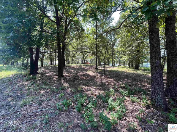 TRACT 3 Gypsy Rd, Warsaw, MO 65355