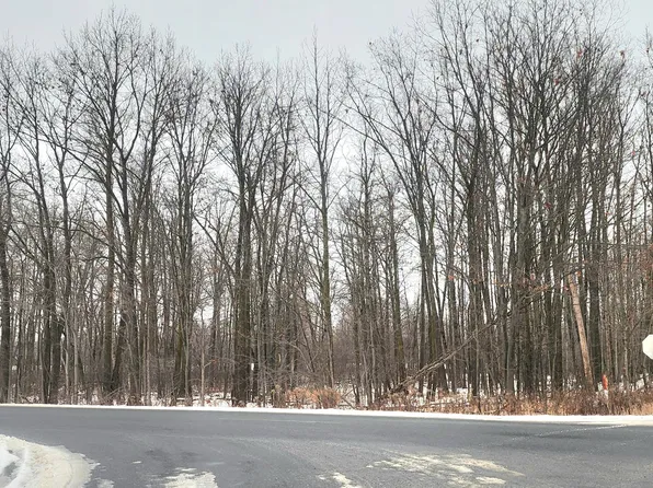 S Derby Rd, Sidney, MI 48885