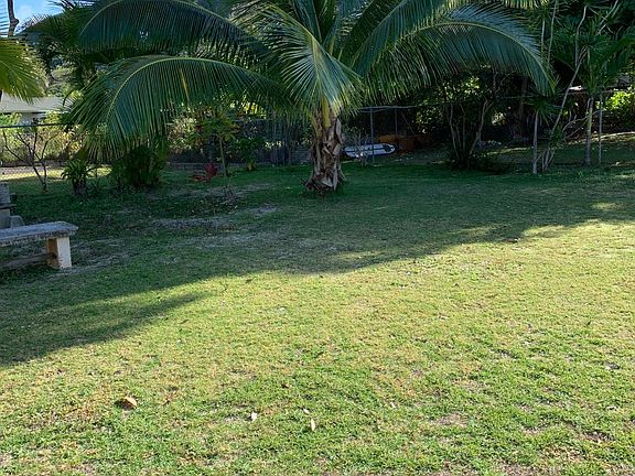 Large backyard