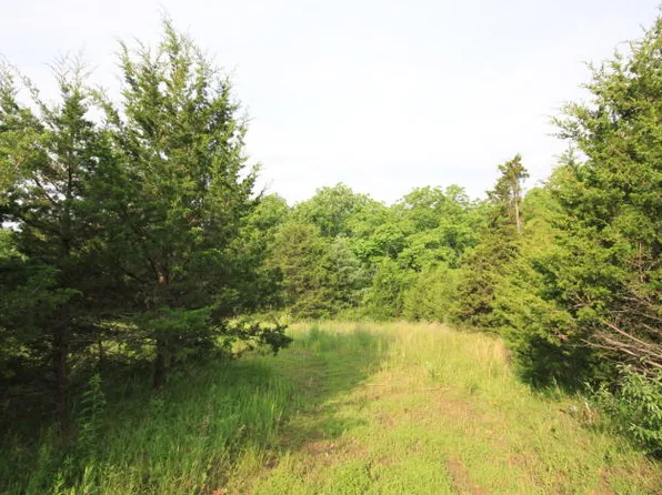 5501 E Brandywine Creek Rd, Columbia, MO 65201