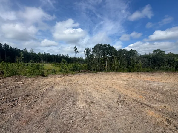 0 Celeste Rd, Citronelle, AL 36522