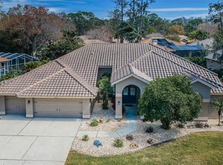 1455 Briargrove Way, Oldsmar, FL 34677