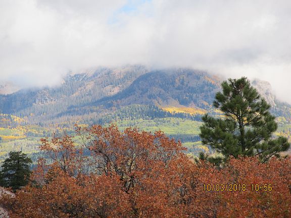 View from the front deck
