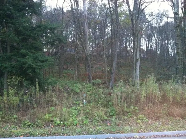 101 Shelby Ln, Shippenville, PA 16254