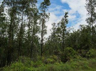 LOT 6218 Puhala St LOT 6218, Mountain View, HI 96771