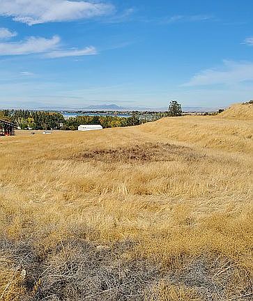 Looking NE from south edge