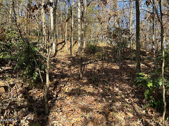 4th image of 0 Robinson Dr Lot 9