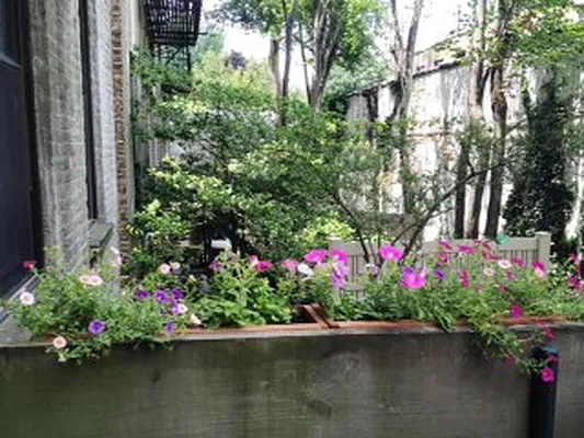 Sold by Corcoran | media 20