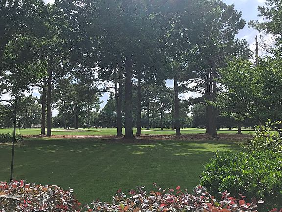 Golf course green #5