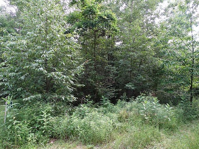 2nd image of 15 Hilltop Dr