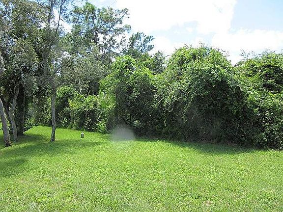 5th image of 38 Horseshoe Falls Dr