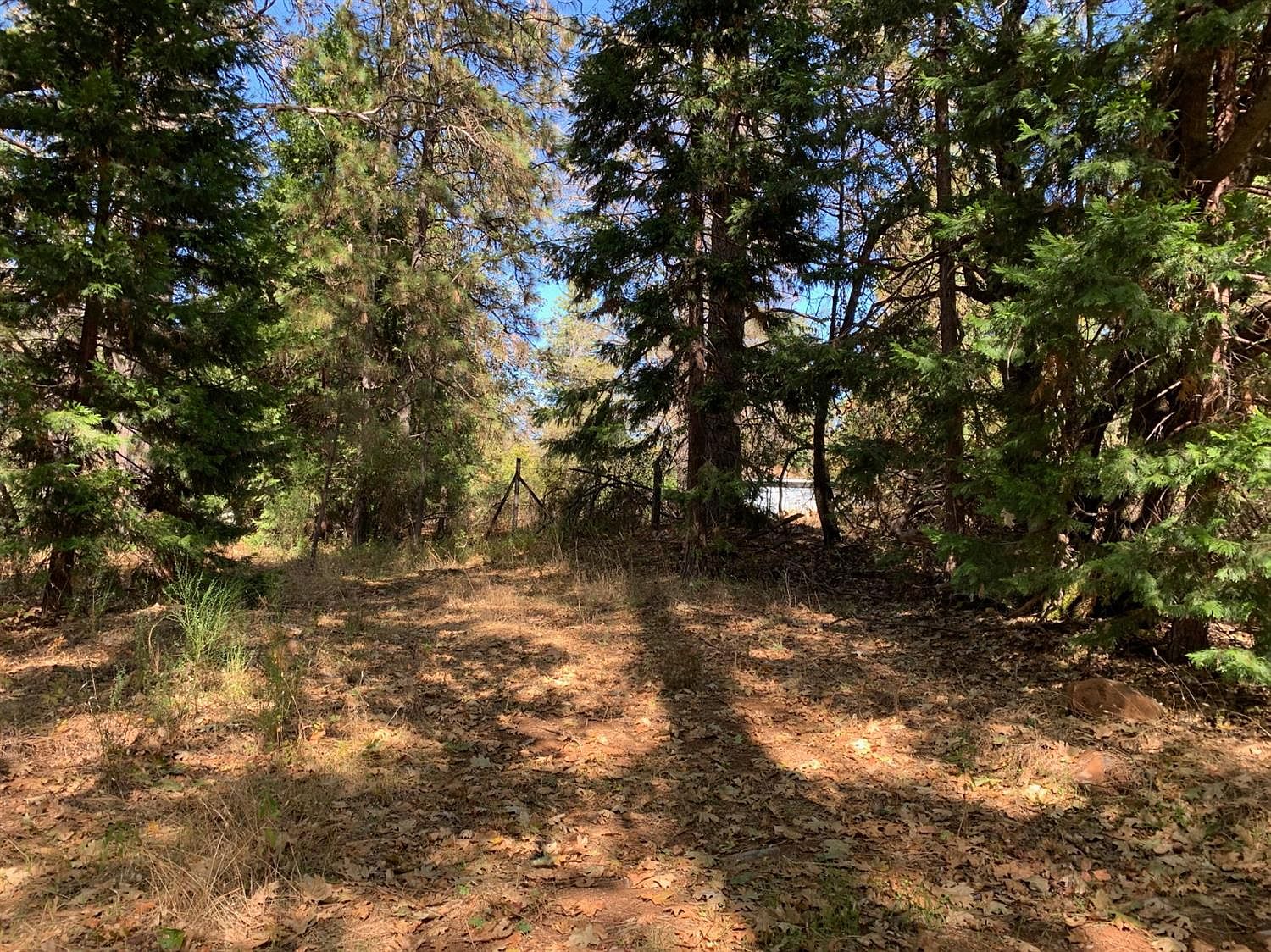 10982 Rough And Ready Hwy Grass Valley Ca 95945 Zillow