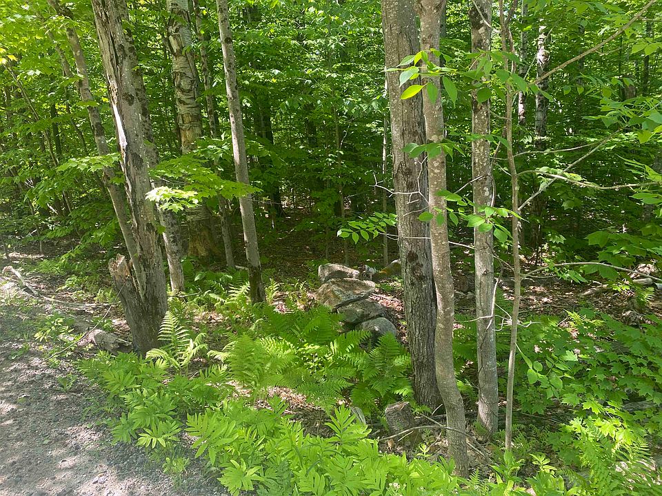 0 Dalewood Rd 26, Jamaica, VT 05343 MLS 4955807 Zillow