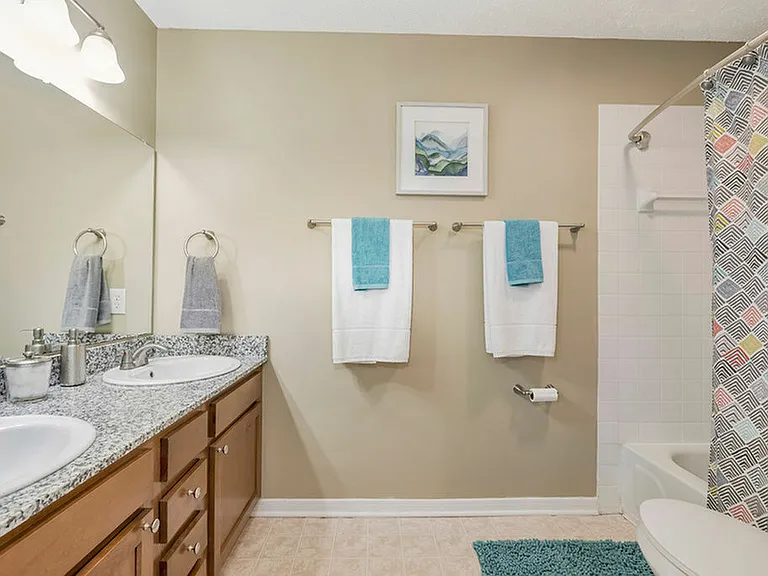 Luxurious Double Vanity Bathrooms