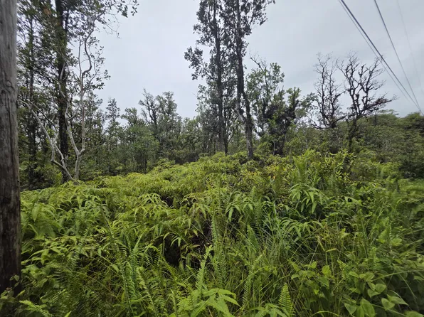 Hopue Rd Lot 3054, Mountain View, HI 96771