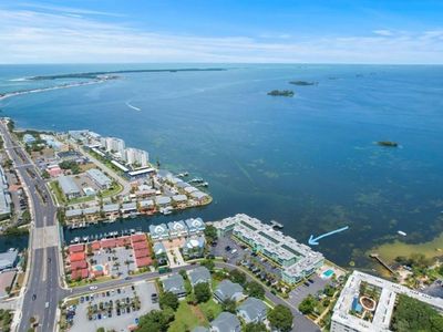 464 N Paula Dr APT 319, Dunedin, FL, 34698