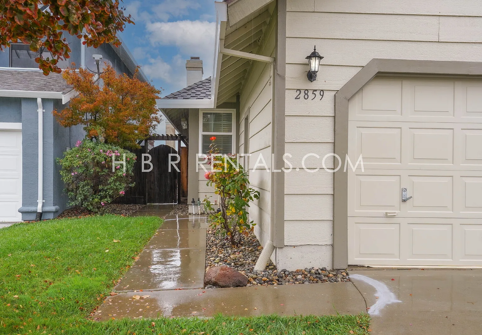 3 bed, 2.0 bath, 1229 sqft, $3,750 — Photo 3