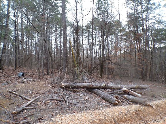 3rd image of 13495 Gilbert Tommie Rd