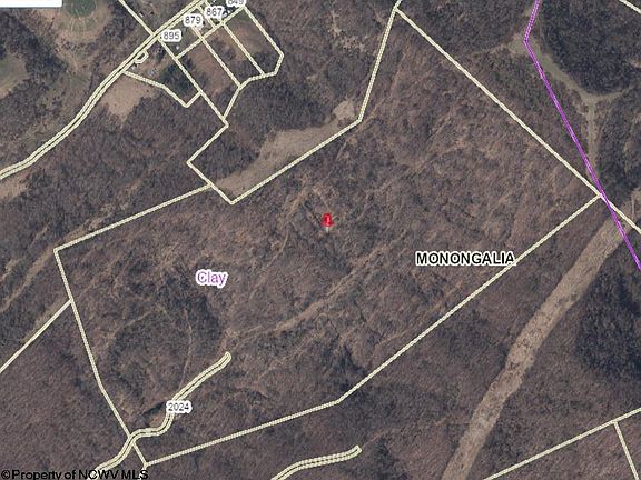 3rd image of 2024 Mason Dixon Hwy