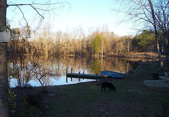 view of one of the two docks.  Great for dogs!