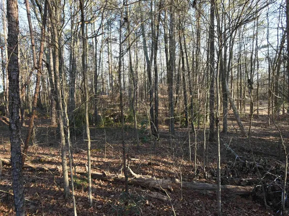 0 Pamela Ln, Laurens, SC 29360