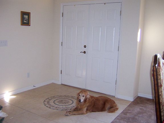 Distinctive mosiac tile in foyer